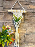 Single Plant Hangers